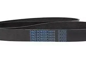 Correas D&D - Image 5